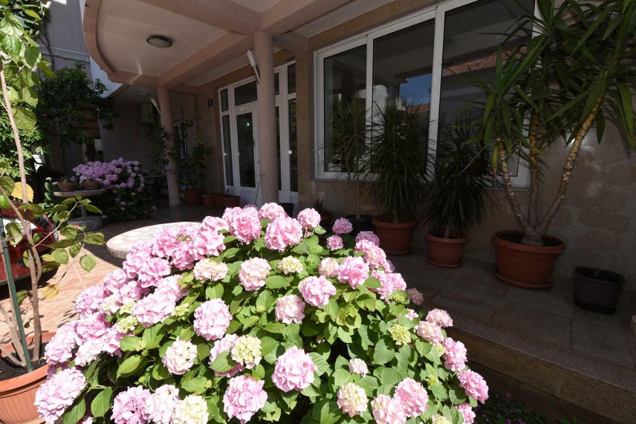 Guest House Zec بودفا المظهر الخارجي الصورة